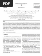 Erlich, C. Pyrolysis and Gasification of Pellets From Sugarcane Bagasse and Wood