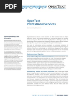 DS Professional Services