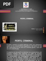 Perfil Criminal