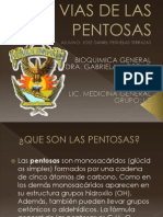 Vias de Las Pentosas