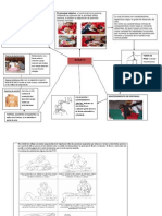 Mapa Grafico Tecnica de Bobath