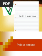 Pele e Anexos - Animais