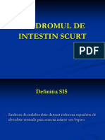 Sindrom Intestin Scurt 2011