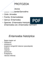 Entamoeba Histolytica