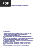 Canals, Fissures, and Foramina of Cranial Bones: Orbital Region