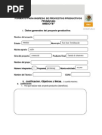Formato para Ingreso de Proyectos Productivos 2
