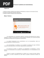 Determinación Cualitativa de Carbohidratos