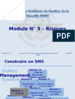 Oaci Sms Module N° 5 - Risques 2008-11 (PF)