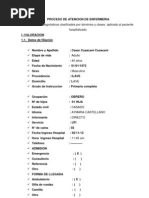 Proceso de Atención Enfermería Obstruccion Intestinal