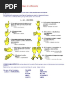 Formas de Memorizar Os Artigos Da Lei Escoteira