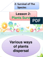 Plants Survival