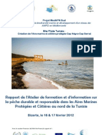 Rapport Atelier Pêche Durable 16&17 Fev 2012