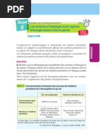 Sujet: Les Surfaces D'échanges Et de Capture D'énergie Solaire Chez La Plante