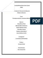 Enseñanza Individualizada (Enseñanza Programada, Tutoriales, Programas Ramificados, Ejercicios y Prácticas)