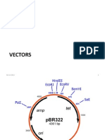 Vector