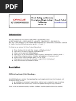 Oracle Begin Backup Description