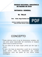 Diapositiva de Tallo