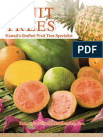 Fruit Trees