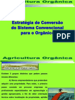 Agricultura Orgânica Conversão