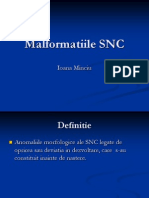 Malformatii SNC Copii