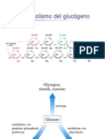 Metabolisme Glucogen Lehninger