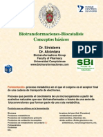 Fundaments de Biocatalis