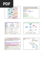 Energy Metabolism1