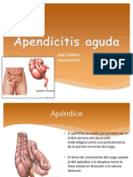 Apendicitis DR Saidoc Complete