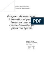 Proiect Marketing International