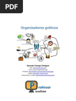 Organizadores Gráficos