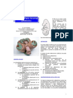 Distocias PDF