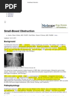 Small Bowel Obstruction