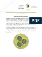 Bioproceso Penicilina