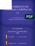 Crecimiento de Cámaras Cardíacas