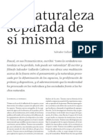 Salvador Gallardo Cabrera: La Naturaleza Separada de Sí Misma