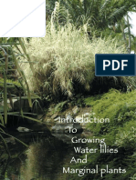 Water Plant Garden Guide