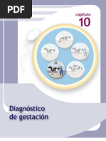 Diagnostico de Gestacion