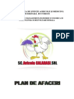 Plan de Afaceri Industria Alimentara