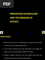 8.irrigation Scheduling and Techniques in Potato - 2