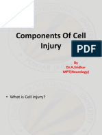 Cell Injury Pathology