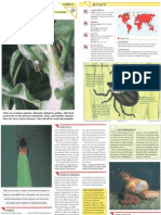 Wildlife Fact File - Insects & Spiders - Pgs. 61-70