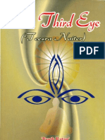 The Third Eye-Sant Singh Maskeen (English)