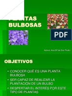 Plantas Bulbosas