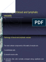 Pathology of Blood and Lymphatic Vessels