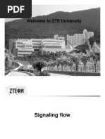 ZTE Signaling Flow