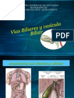 Anatomia Biliar