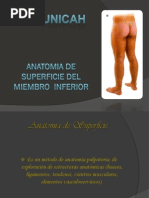 Anatomia de Superficie Del Miembro Inferior