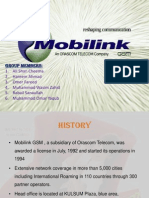 Ihrm Project Mobilink