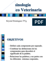 PROFA. K. DOMINGUEZ AVET 120 Terminología Médico Veterinaria