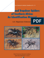 Insects - Baboon and Trapdoor Spiders of Southern Africa - A. Schoeman